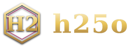h25o โลโก้